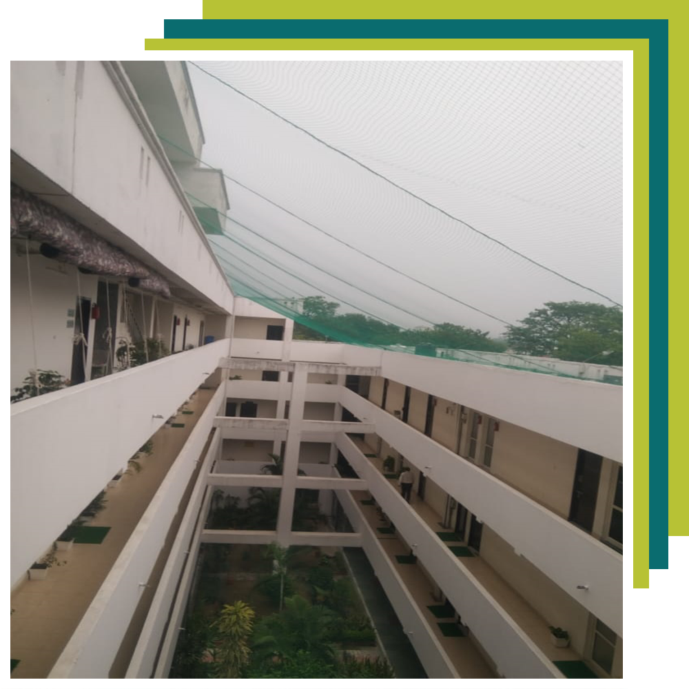 About BR Pigeon Bird Net