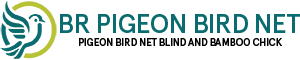 BR Pigeon Bird Net Logo